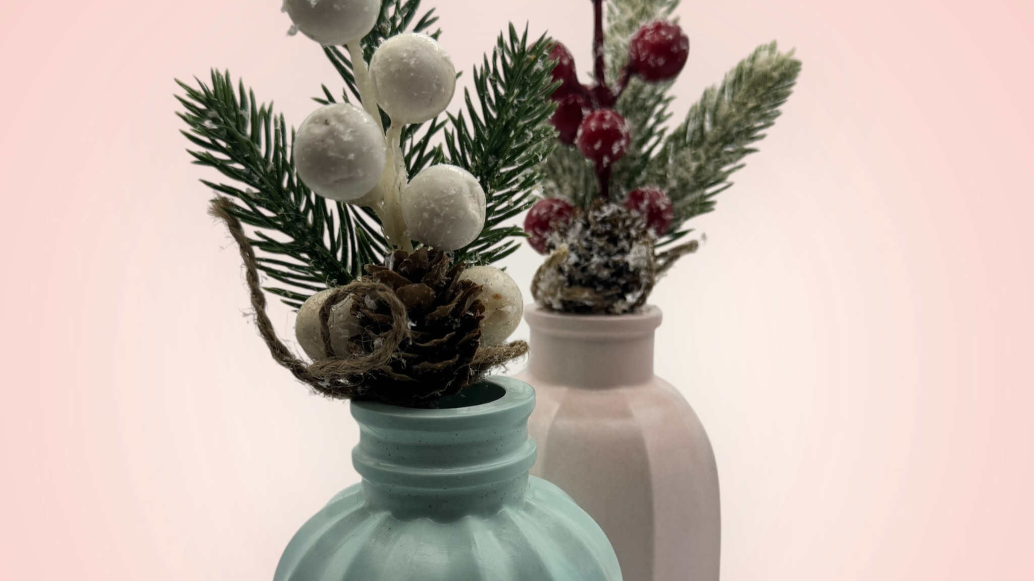 Your trusted pet store to pamper your best friend