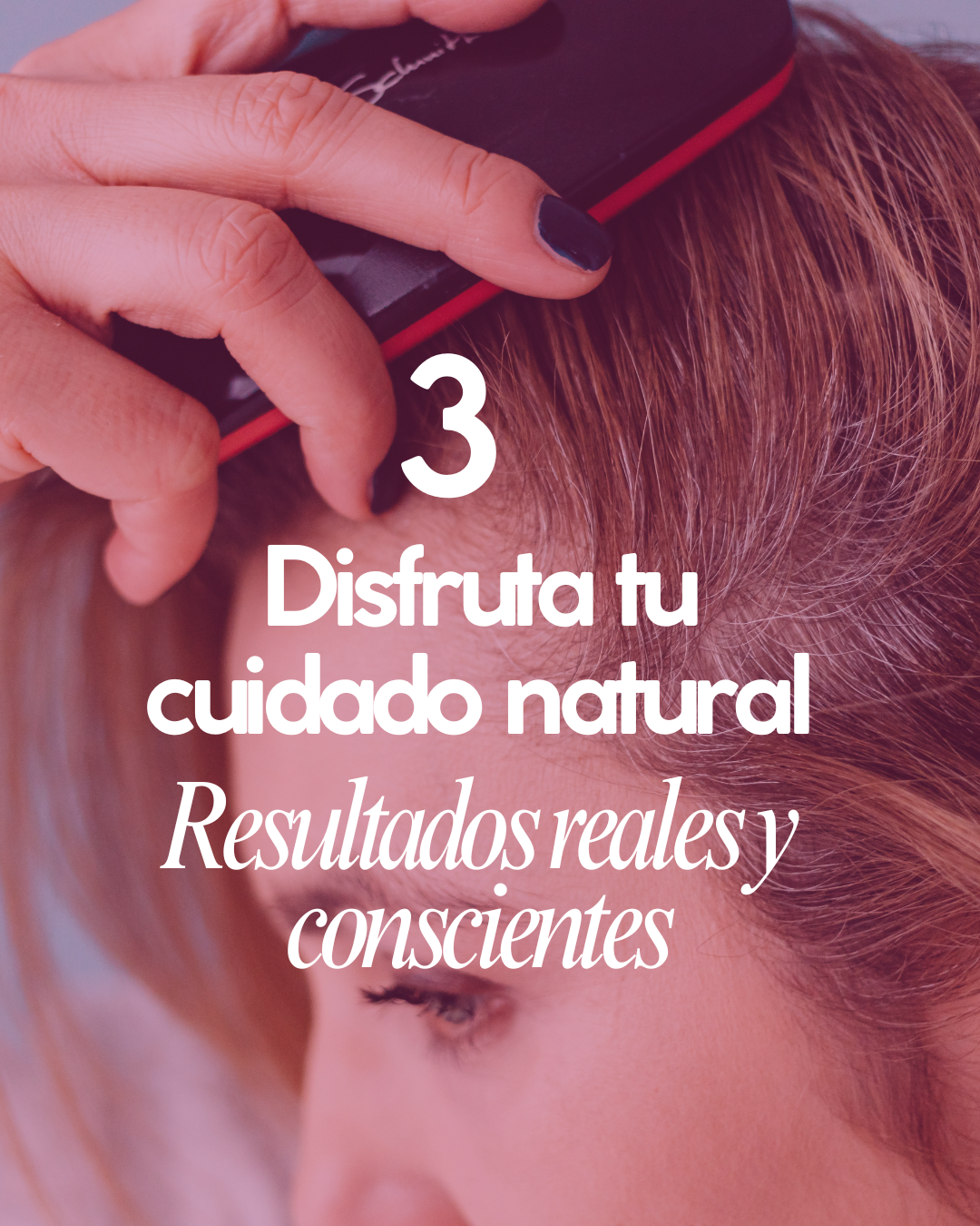 Así funciona abeja reina