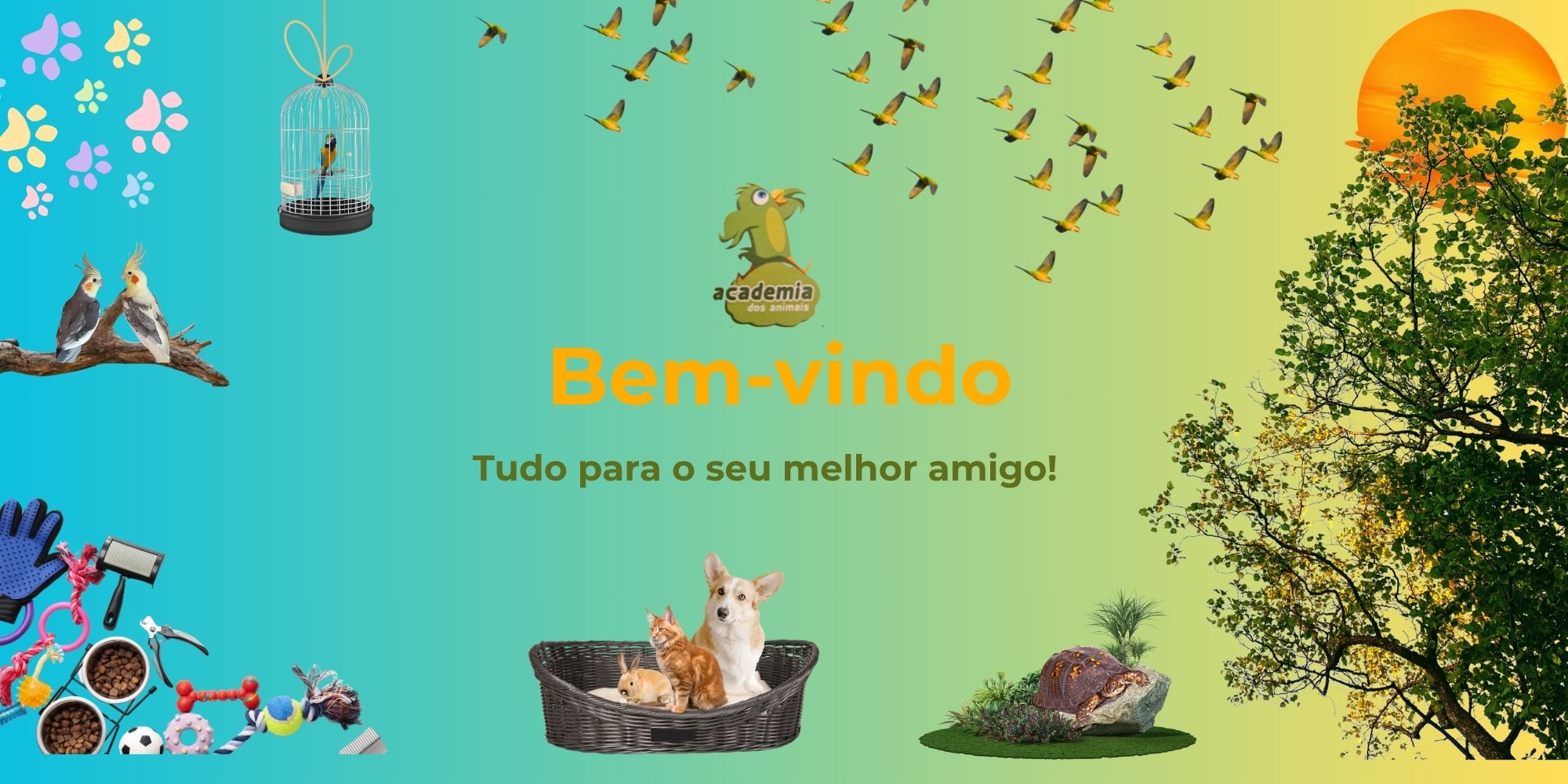 Academia dos Animais