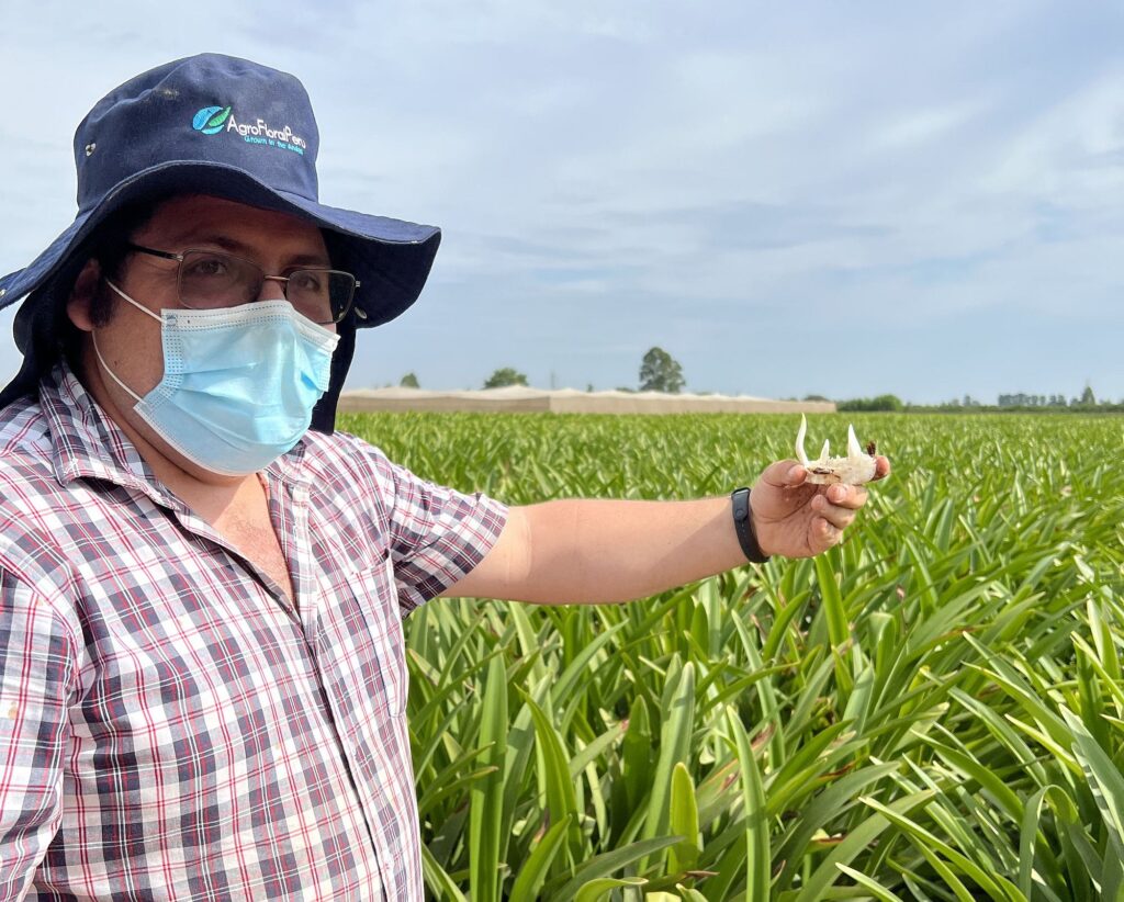 Our client Van Velden visits our crops again.