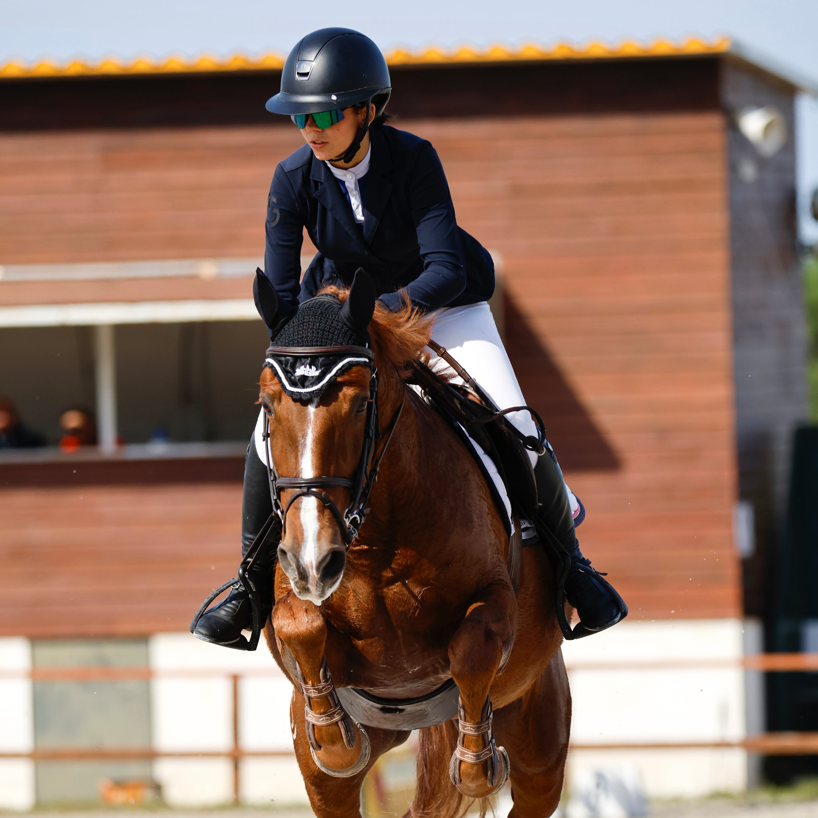 Amor e excelência pelo mundo equestre