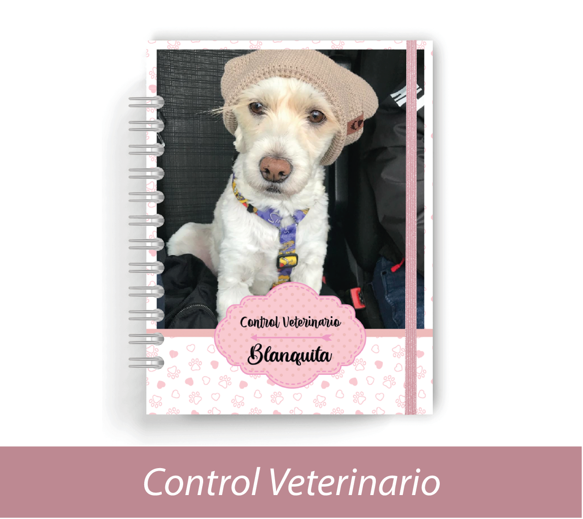 Agendas Aparte
