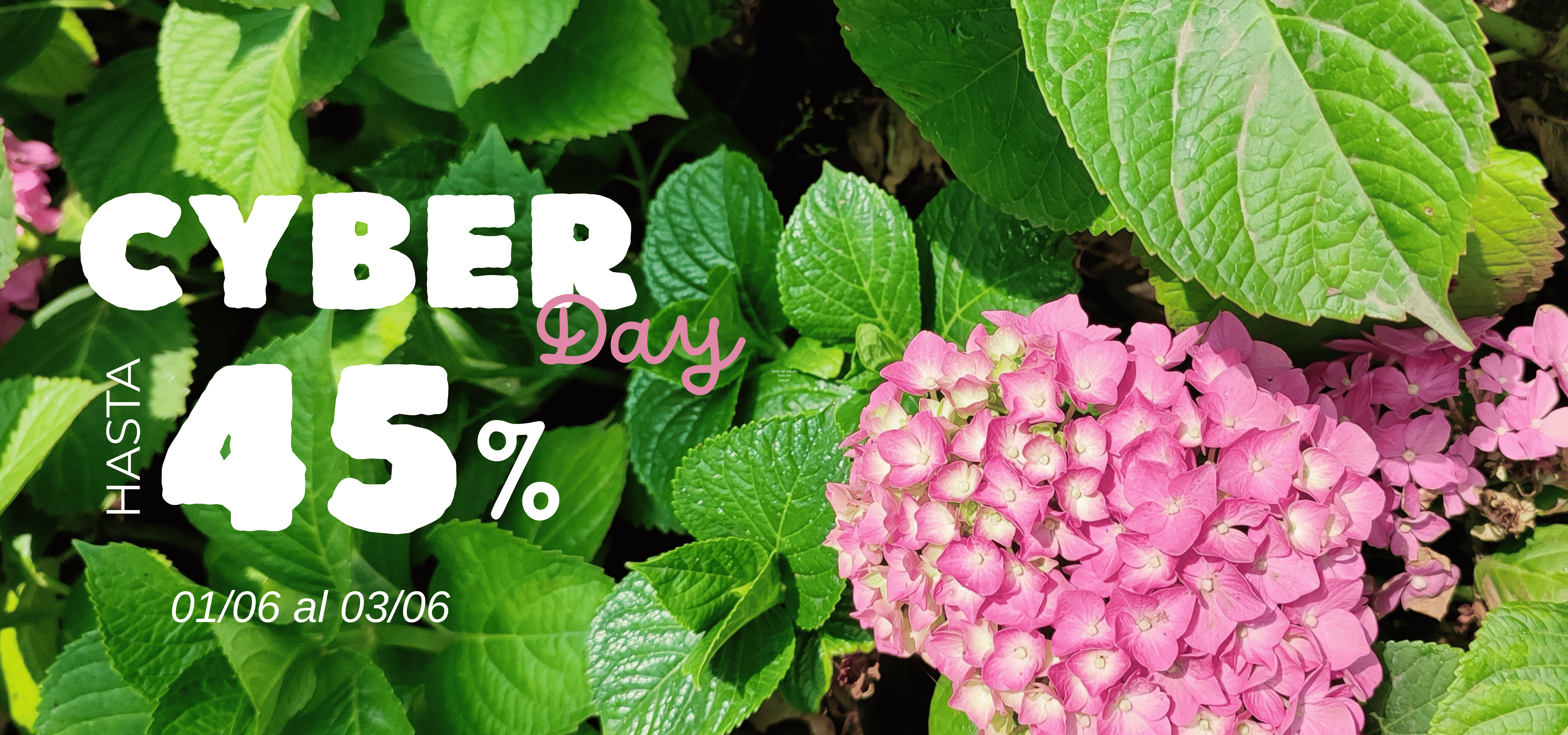 <br>