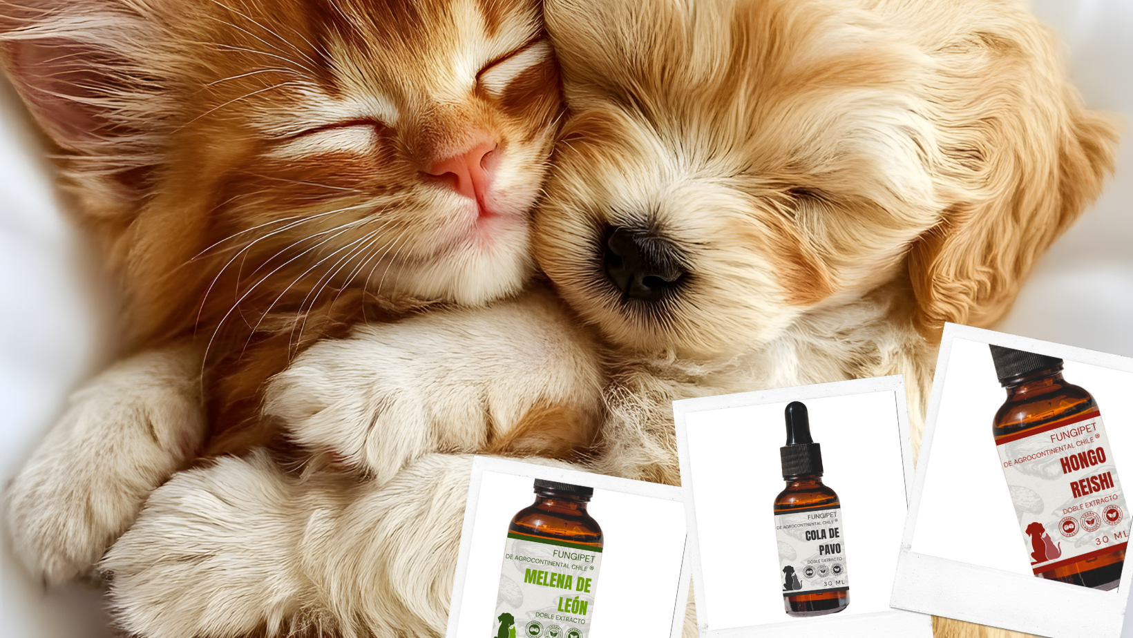 Salud Natural para tu Mascota