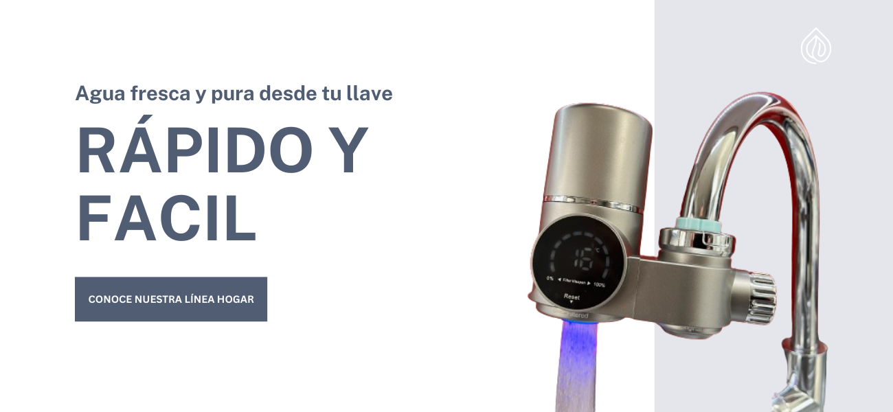 Título de la sección