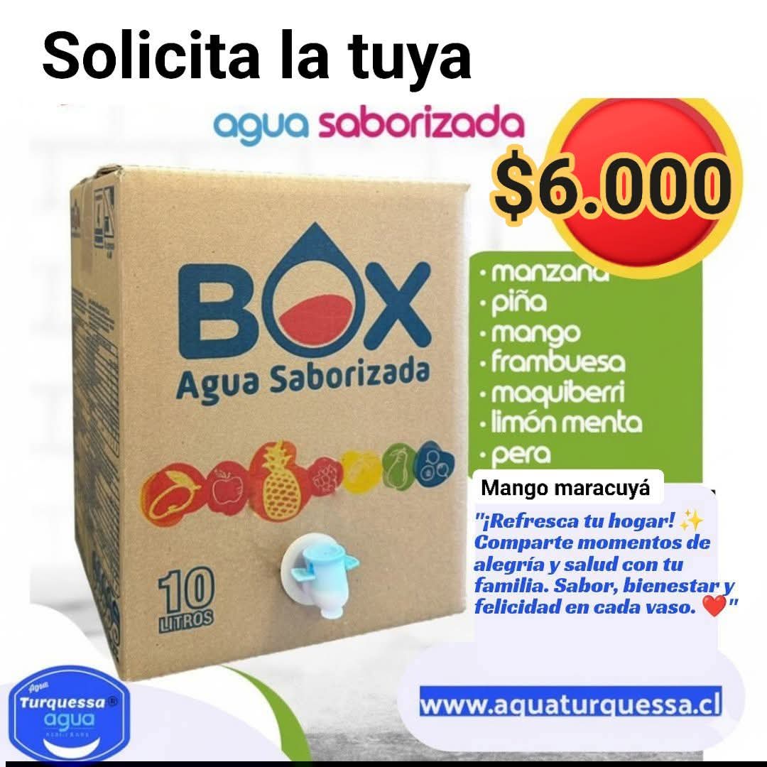 ya probaste nuestras aguas saborizadas?