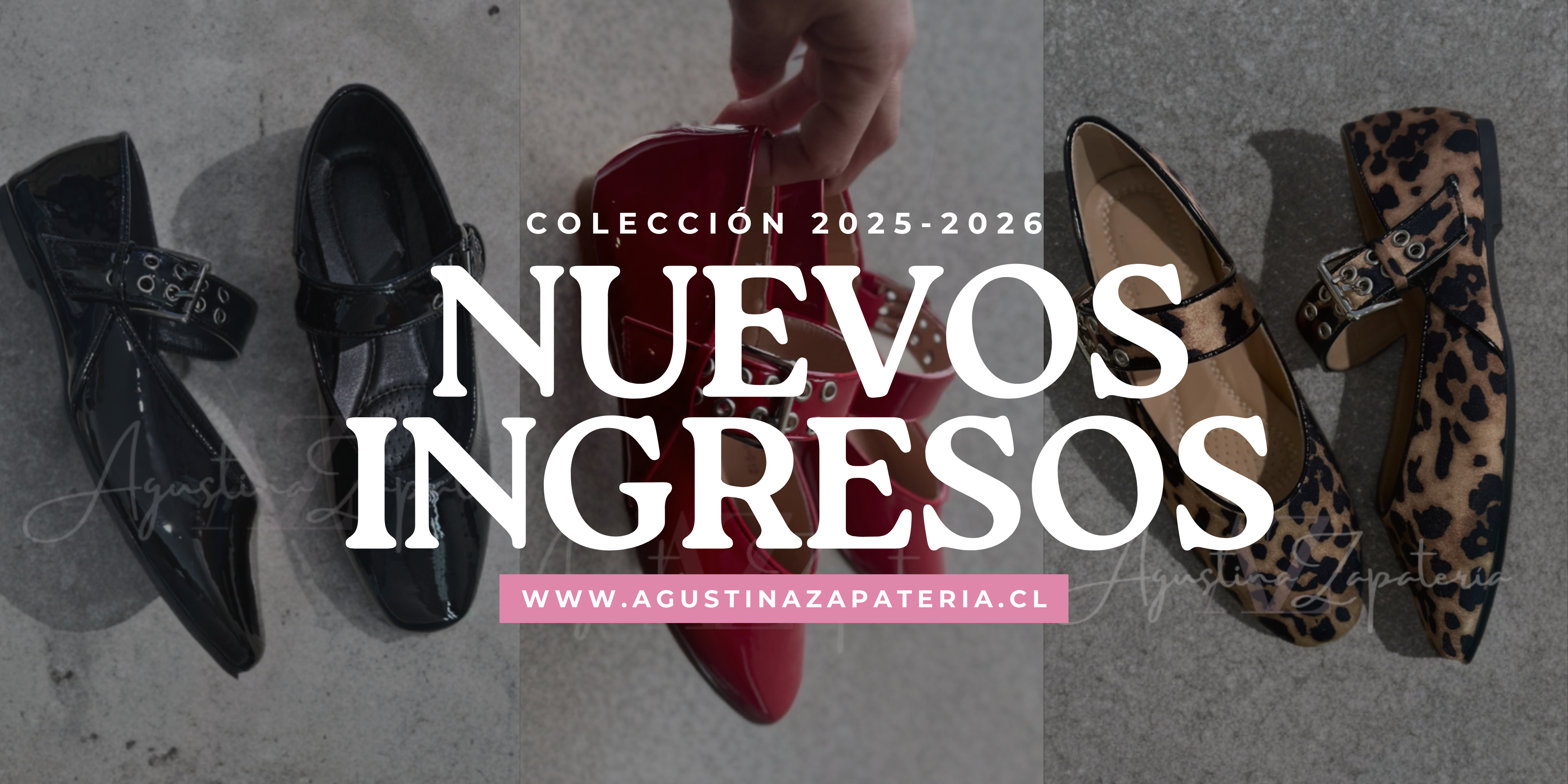Título de la Sección