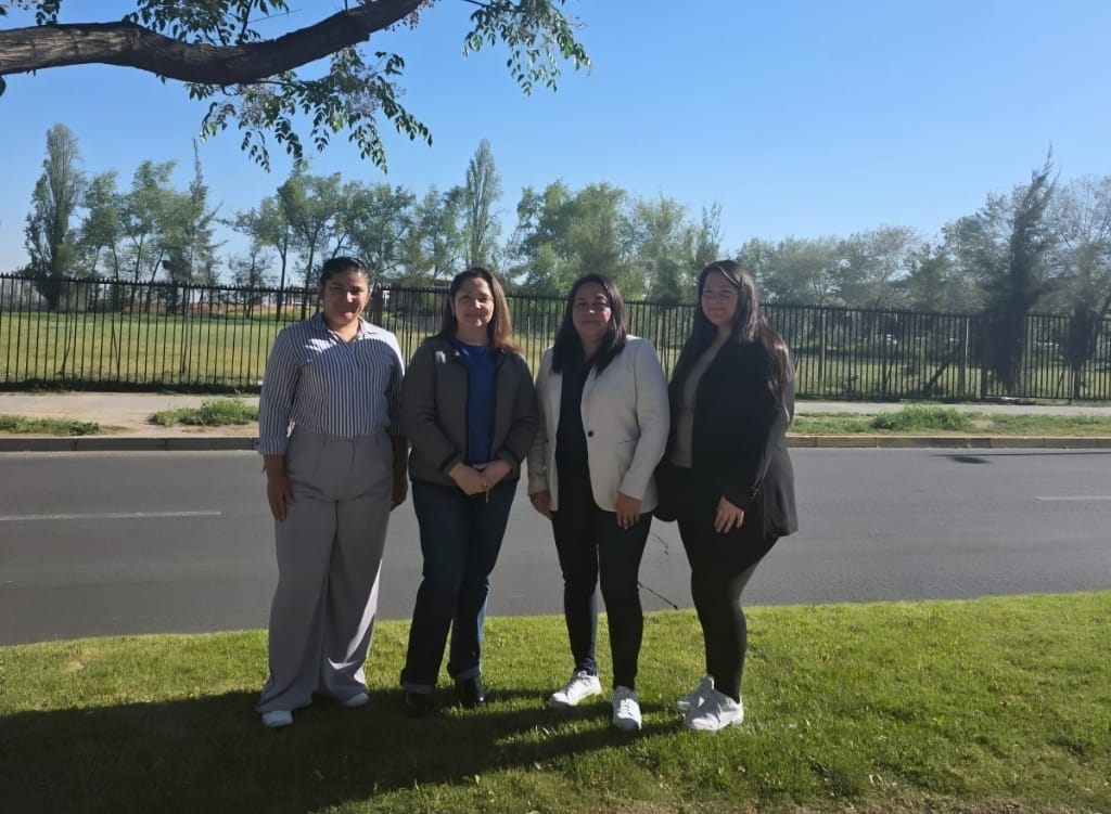 Profesionales Expertos