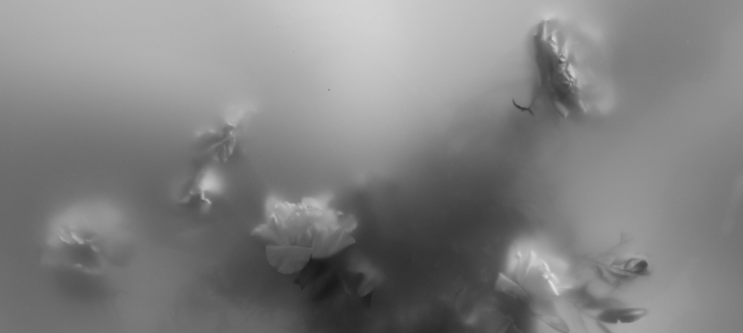 Pieces with soul.<br><br>Spaces with story.<br>