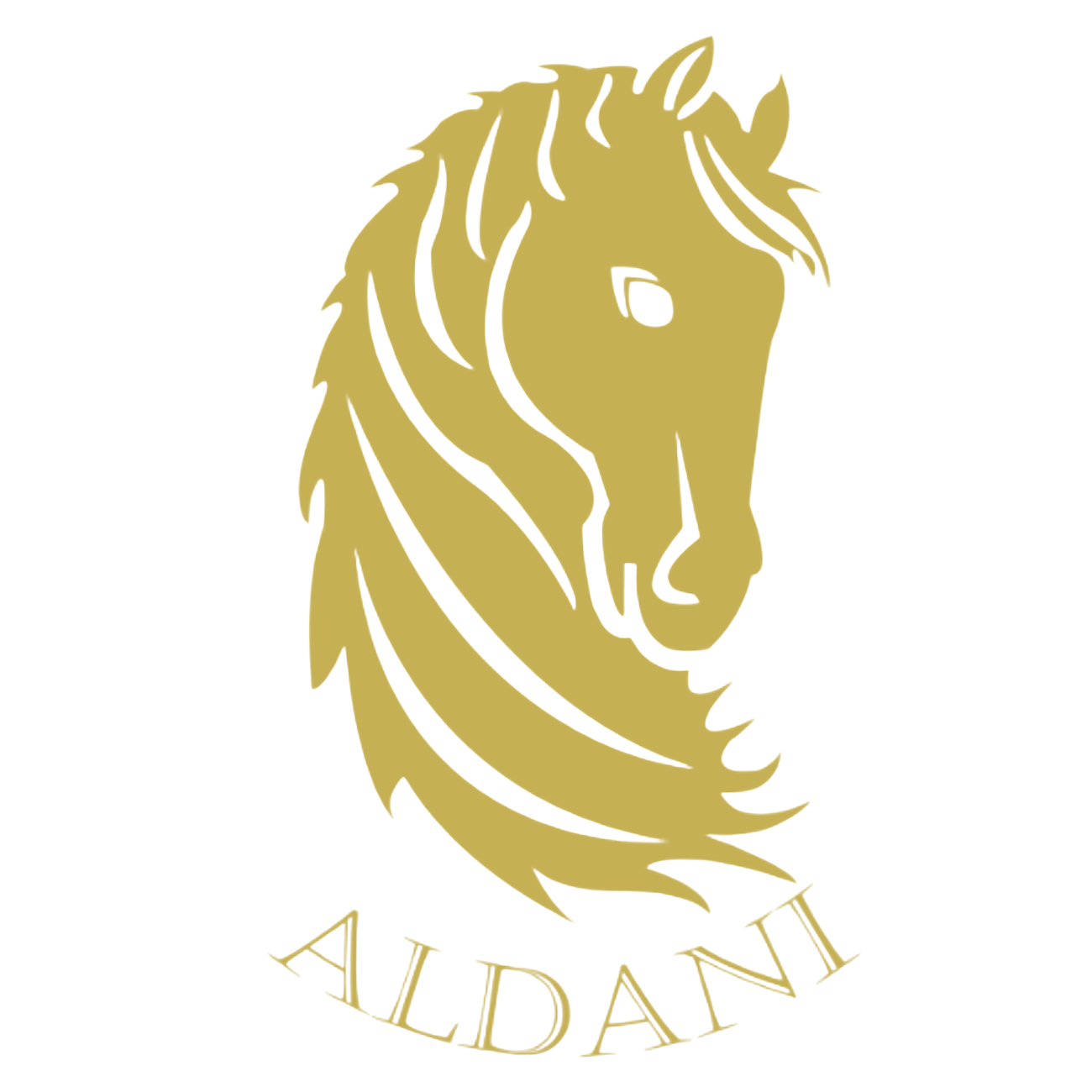 Aldani ecuestre