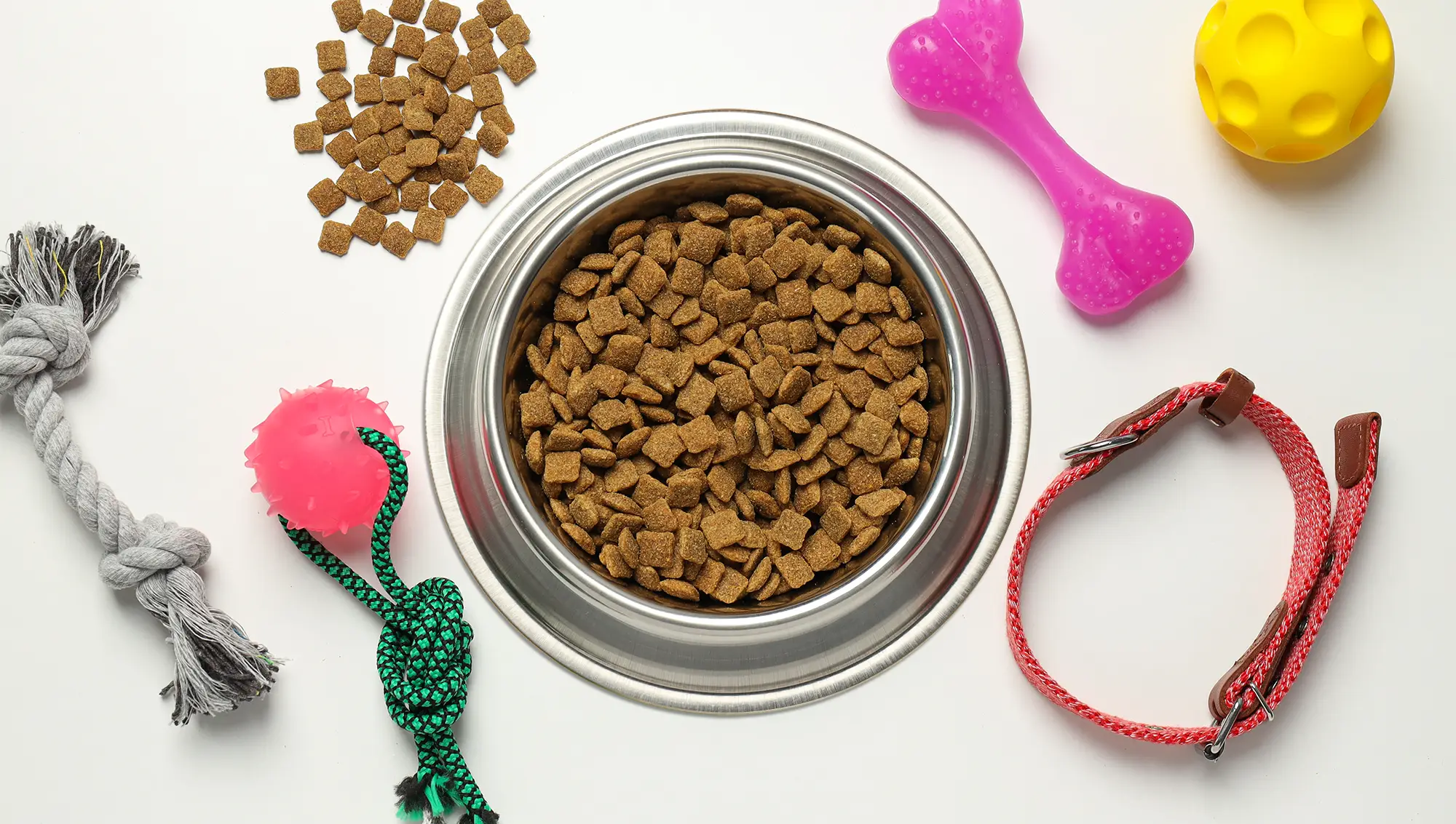 Comida mensual para tu peludo con descuentos exclusivos