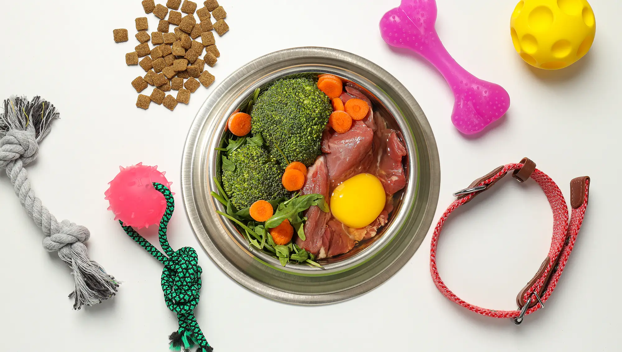 Comida mensual para tu peludo con descuentos exclusivos