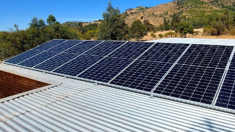 Hualañé. Región del Maule.