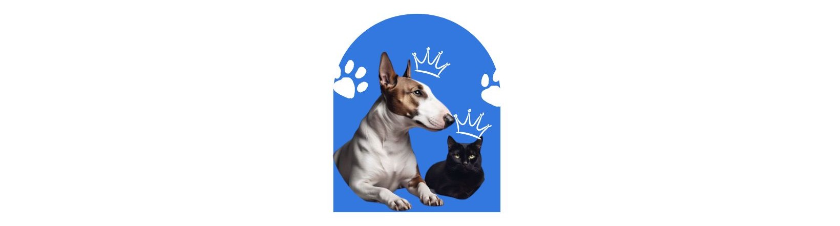 ALL-VET | Veterinaria a Domicilio en Santiago & Farmacia Especialzada