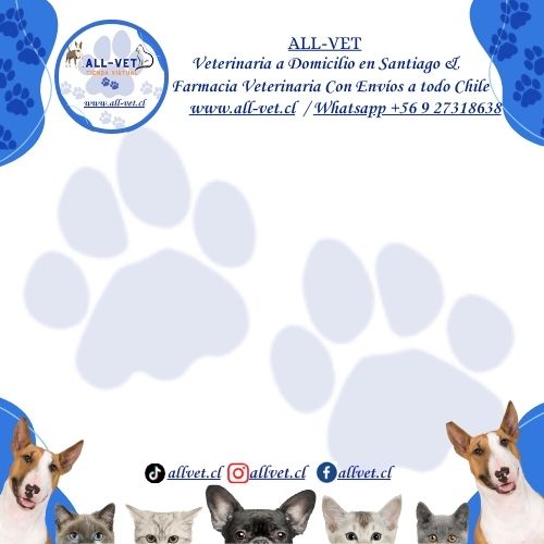 VETERINARIOS A DOMICILIO VITACURA