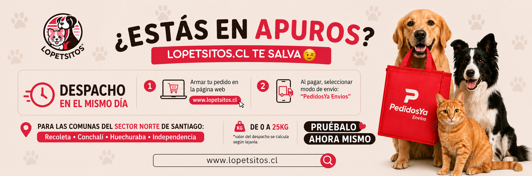 Título del Slide