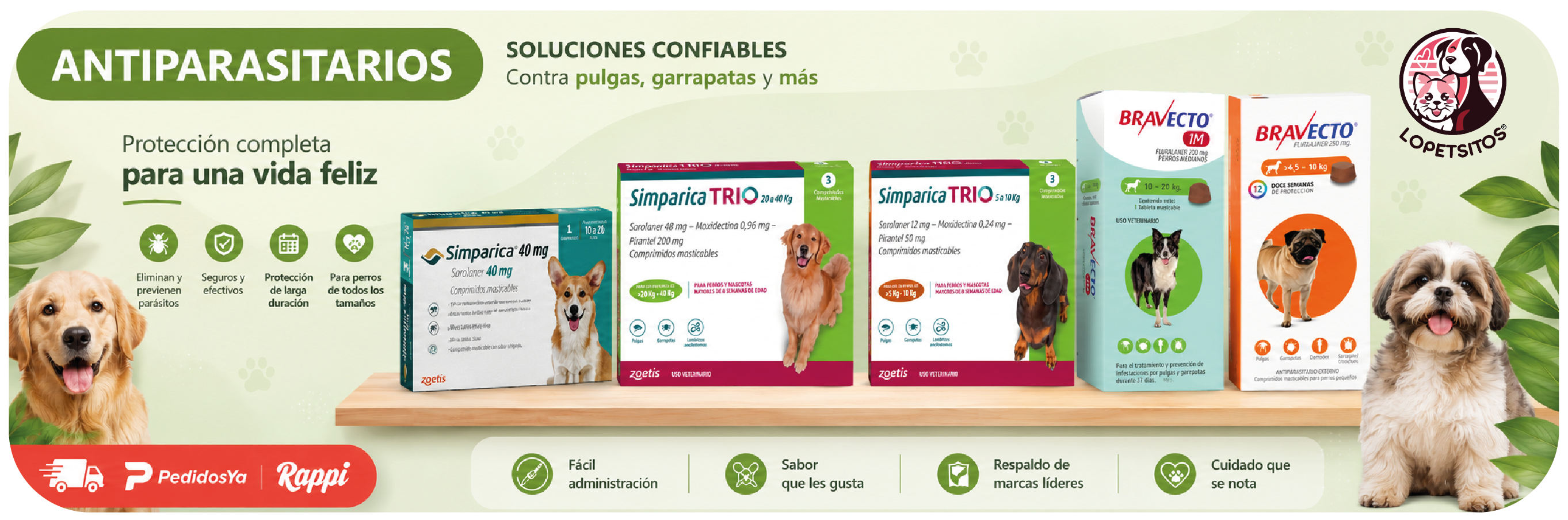Título del Slide