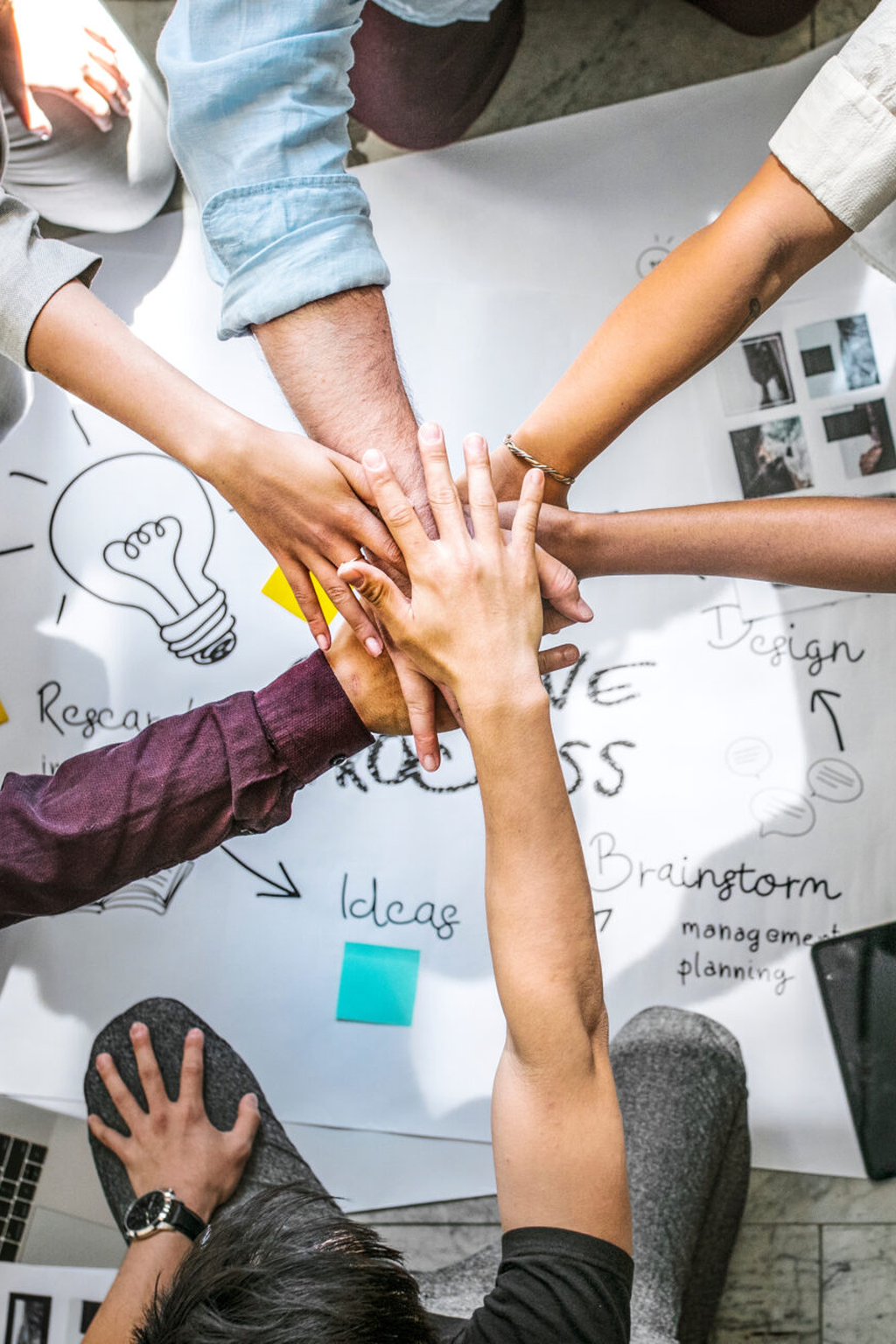 Clima Organizacional y Productividad Operativa<br>