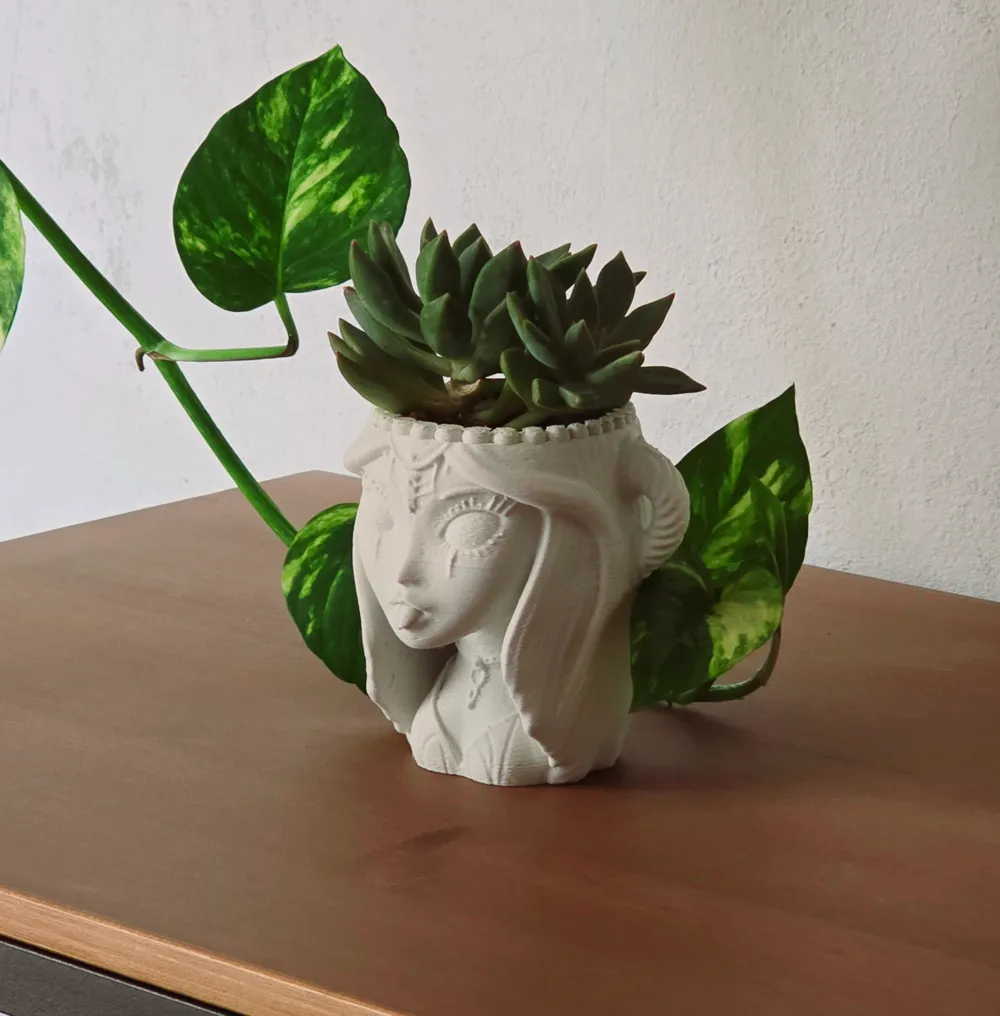 Plant Deco