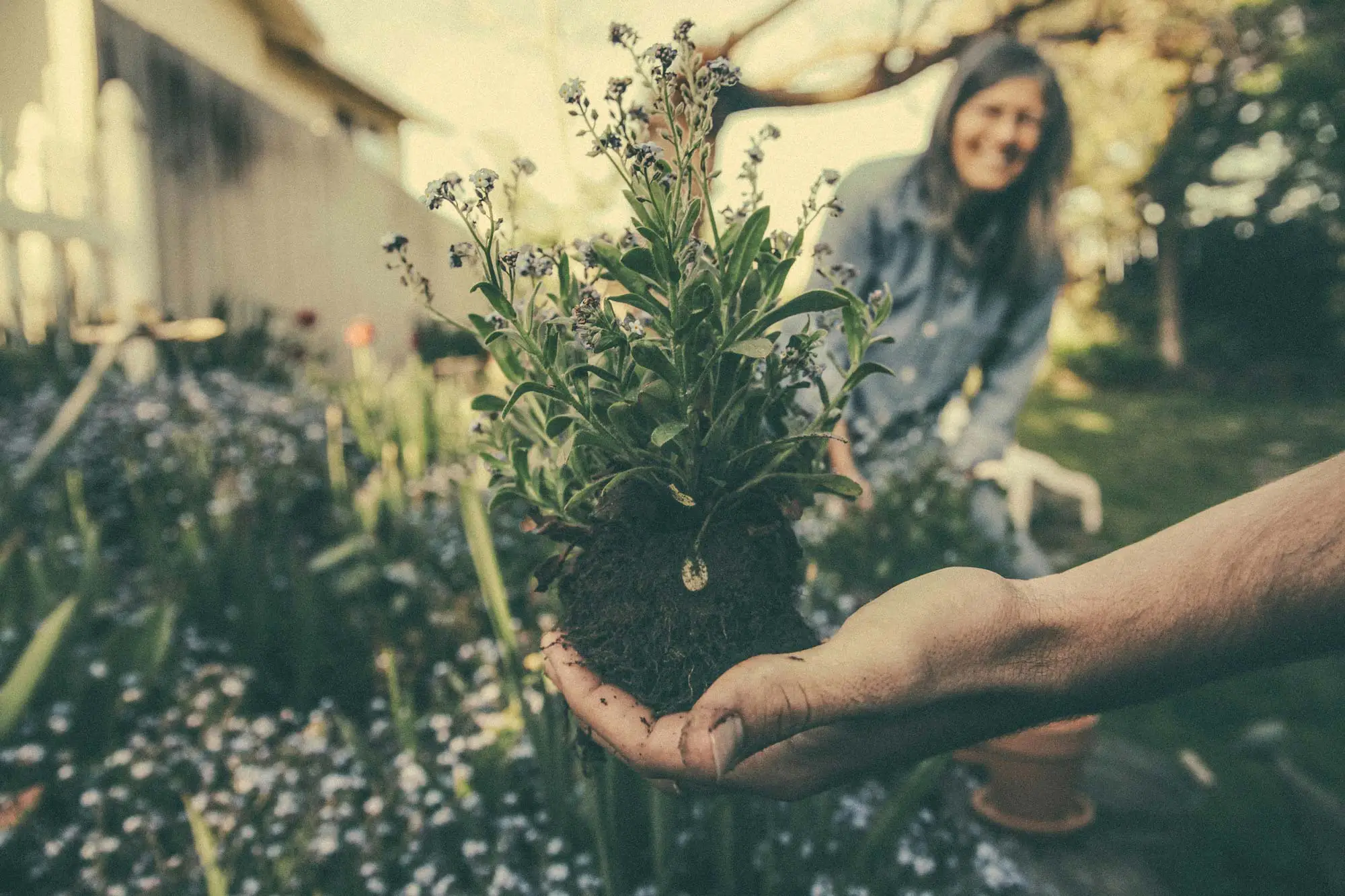 Equipo esencial para los amantes de las plantas