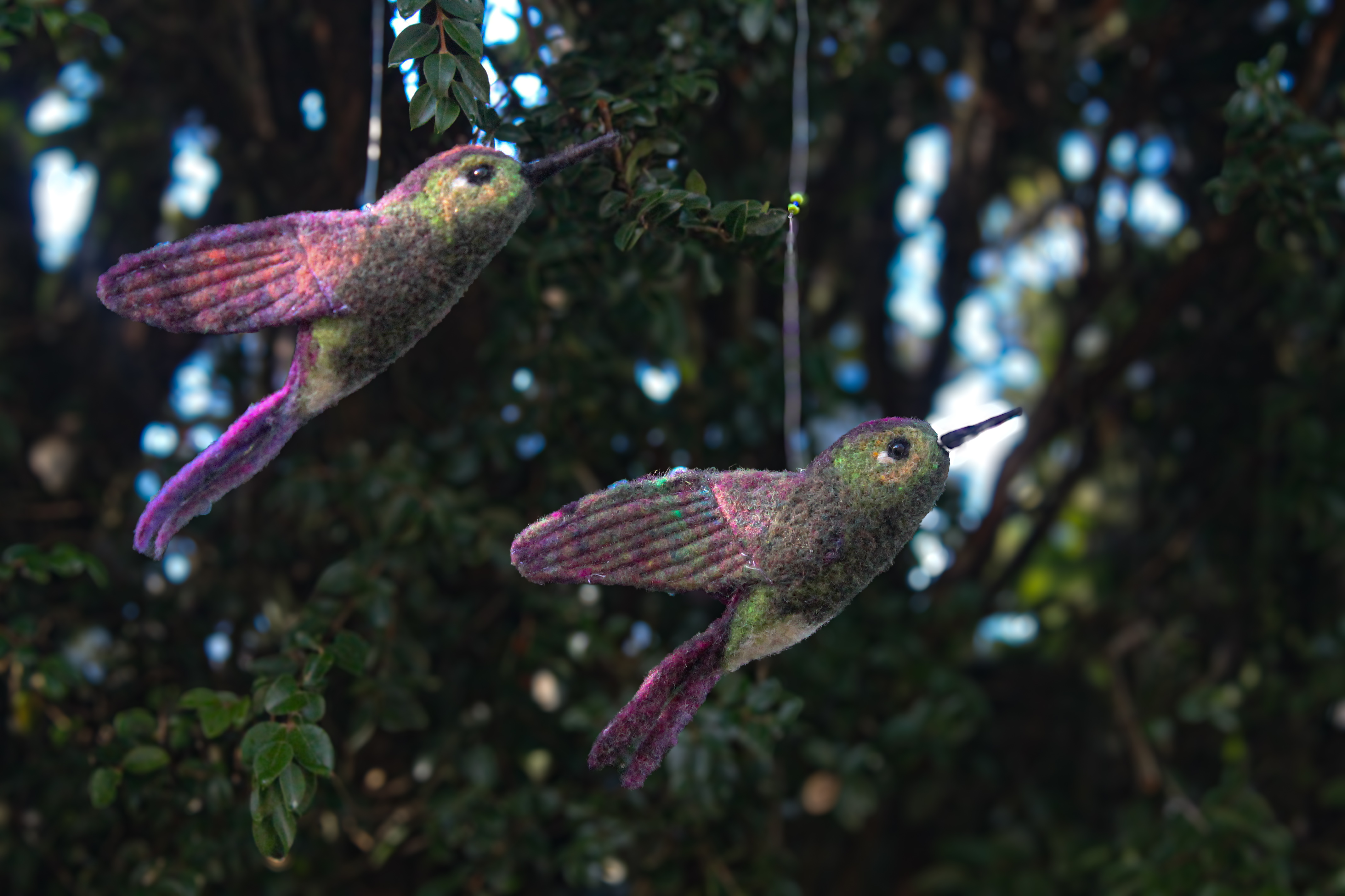 Fauna nativa en lana