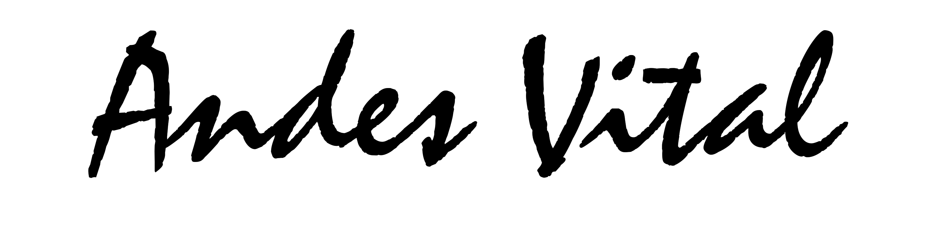 Andes Vital