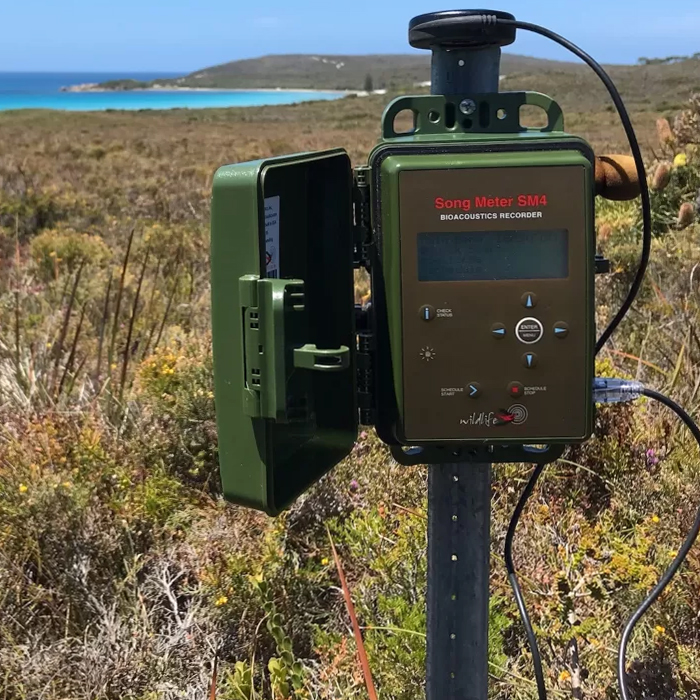 Wildlife Acoustics Grabadoras