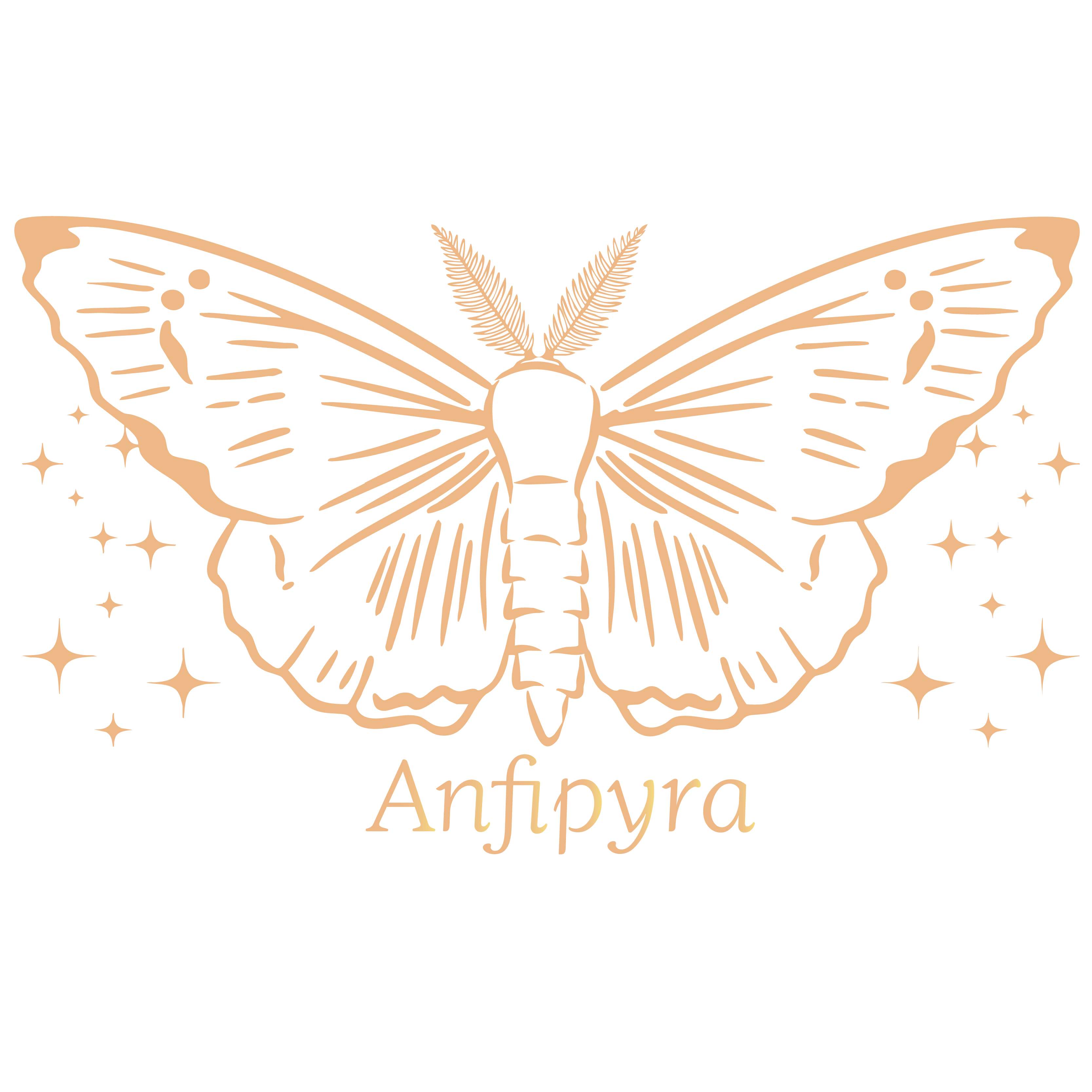 Anfipyra