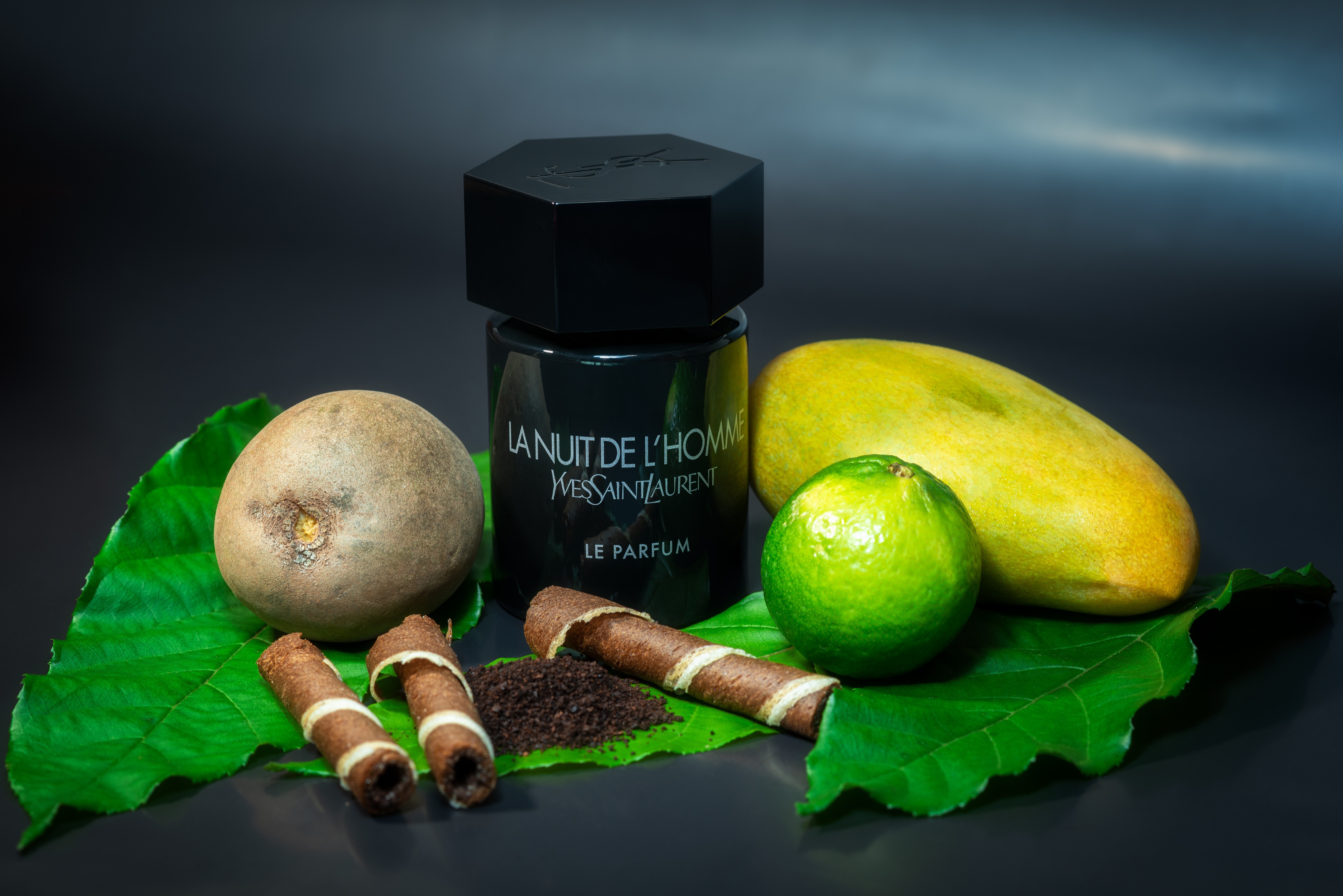 Bienvenidos a Apolinea.cl