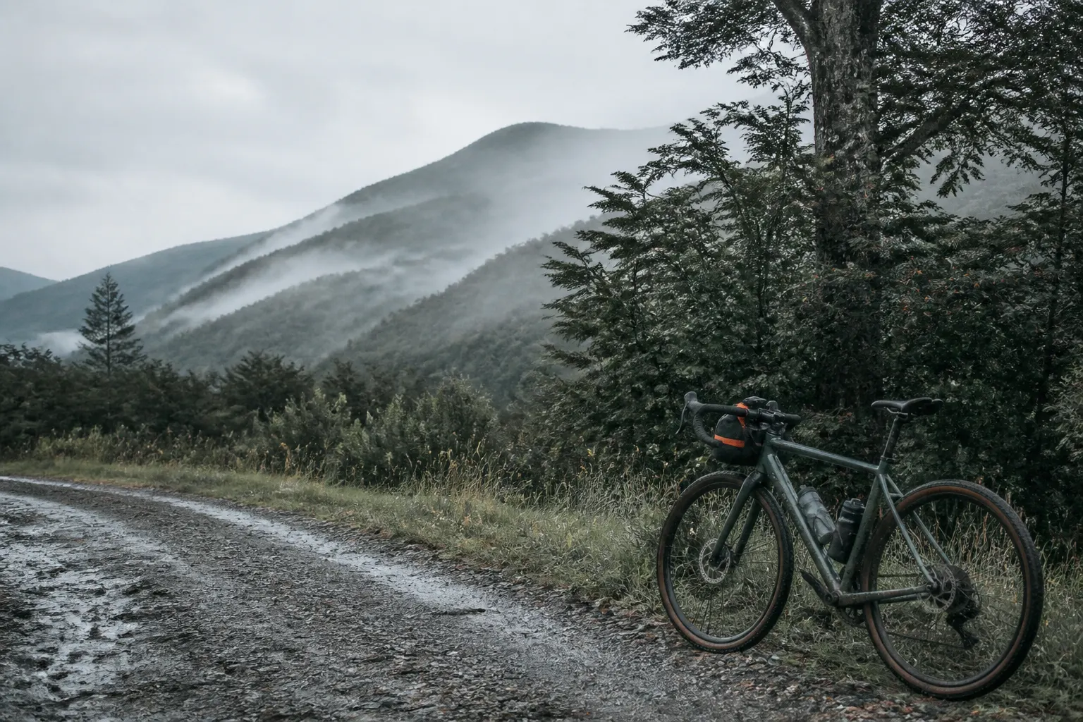 Bicicleta apoyada junto a un camino de ripio en un paisaje amplio y lluvioso del sur.