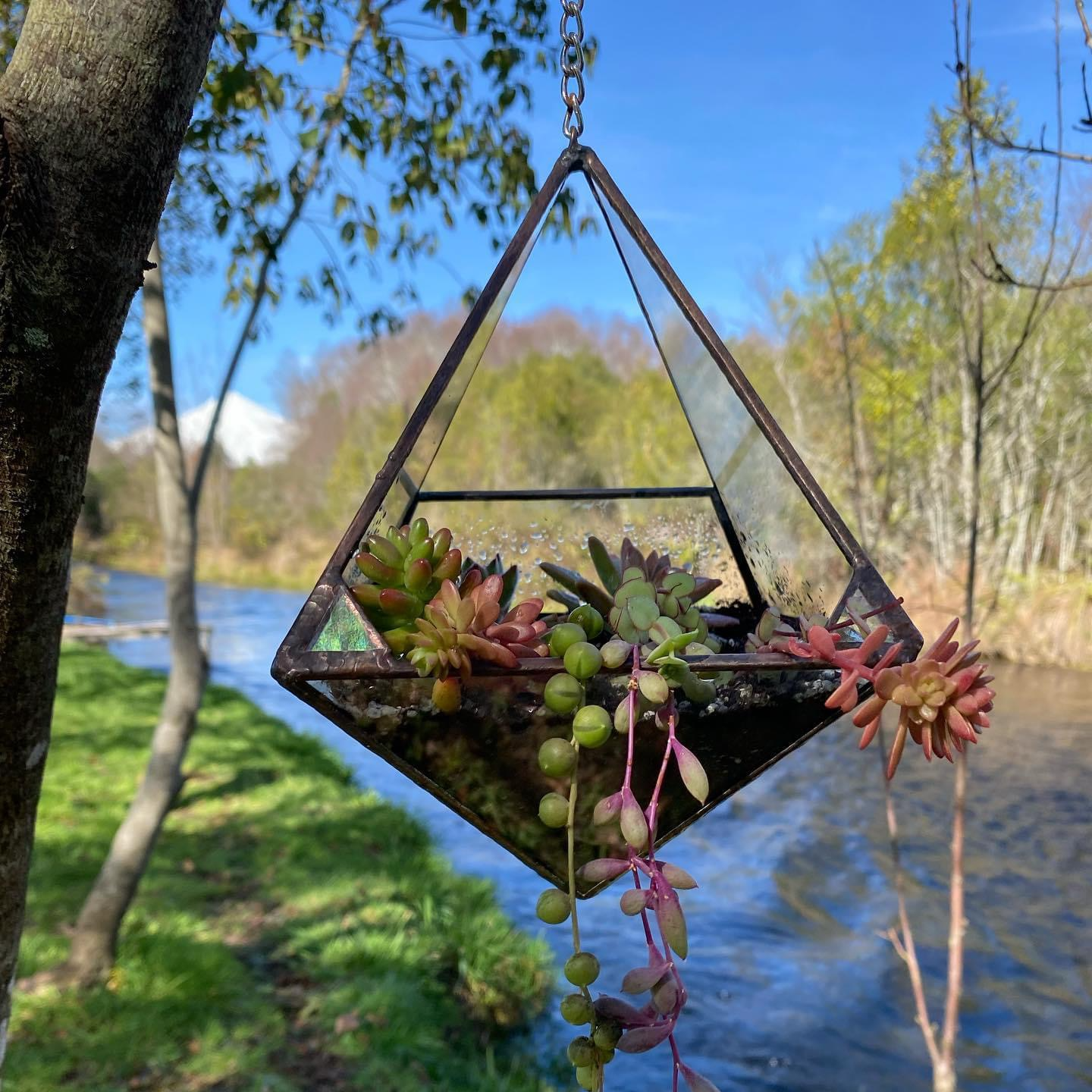 Arte en Vidrios & Maderas