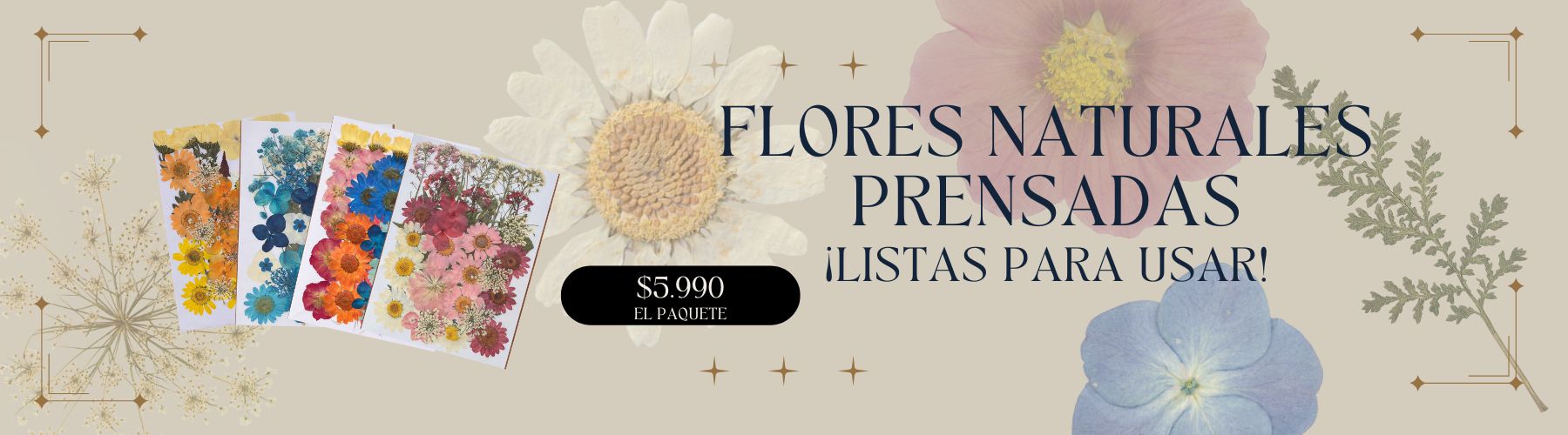 Título de la Sección