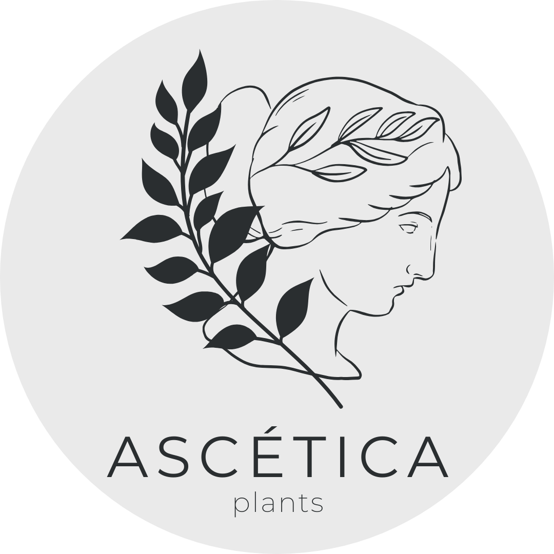 Ascetica Plants