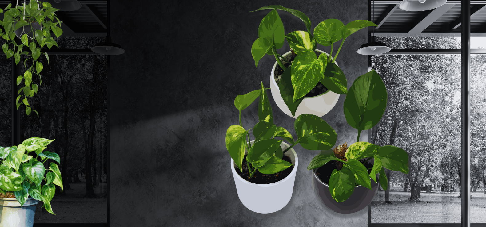 Banner Productos
