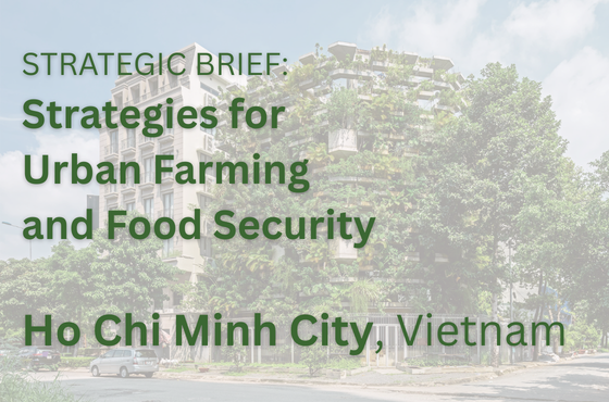 Aslan Mavi - Cities & Cultures of the World