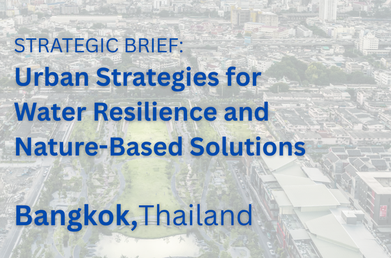 Aslan Mavi - Cities & Cultures of the World