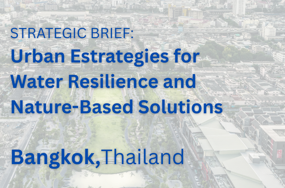 Aslan Mavi - Cities & Cultures of the World