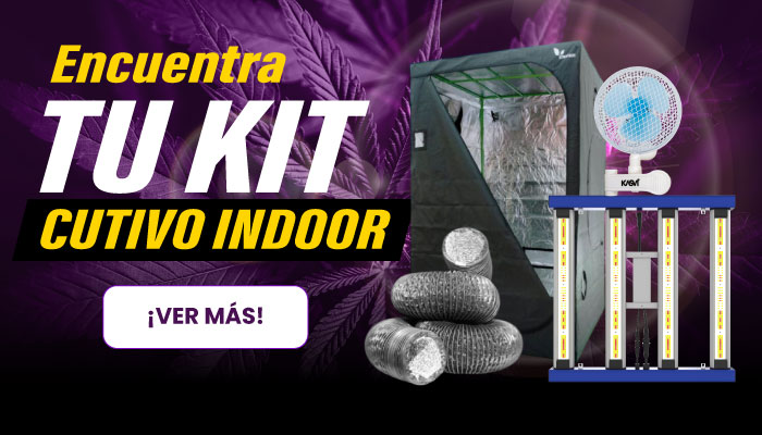 KITS INDOOR