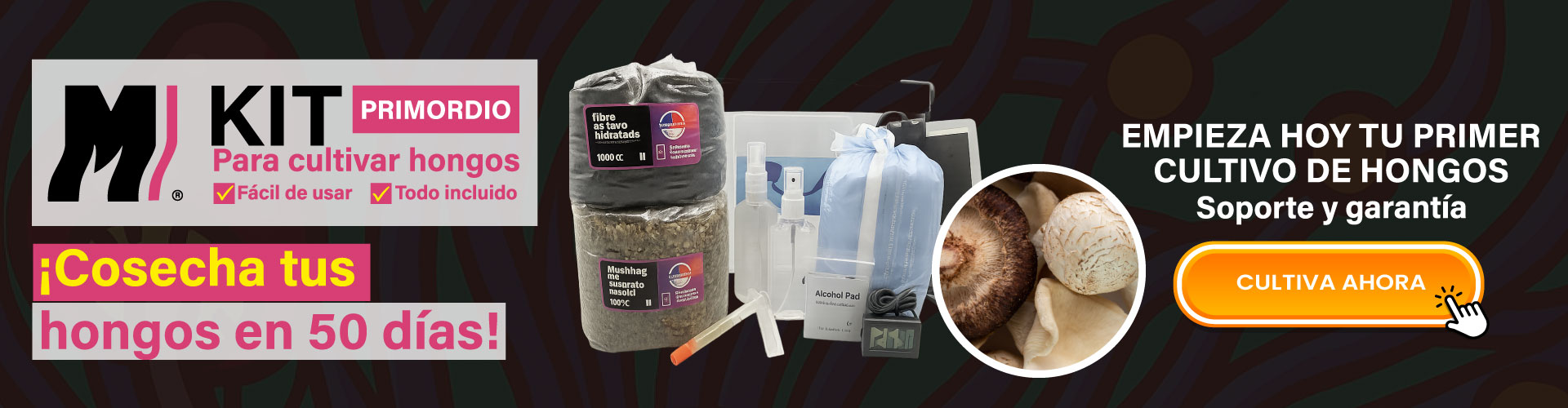kit hongos