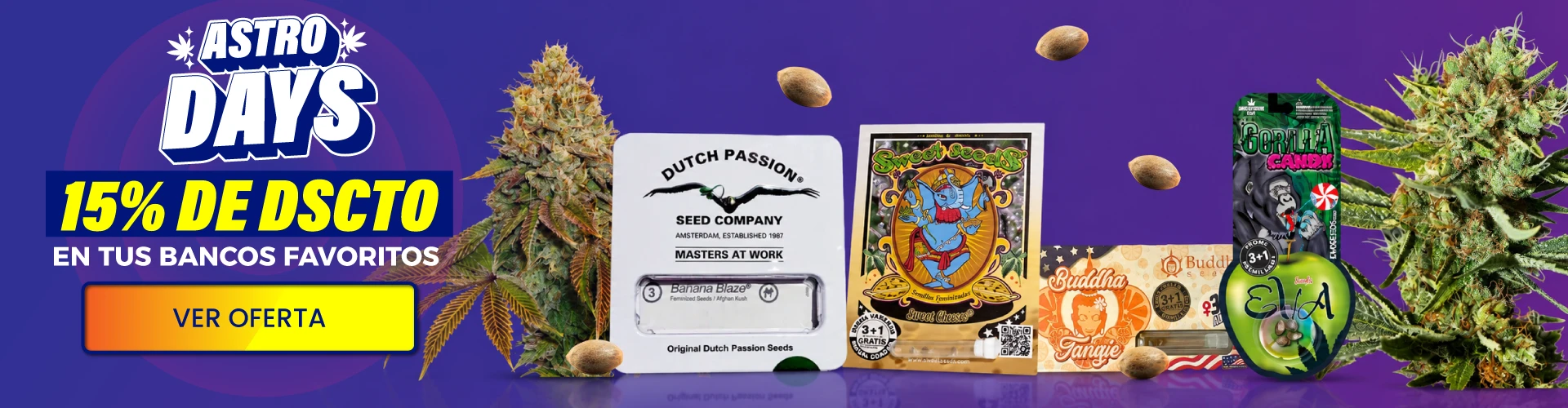 ofertas en semillas, dutch eva, sweet seeds