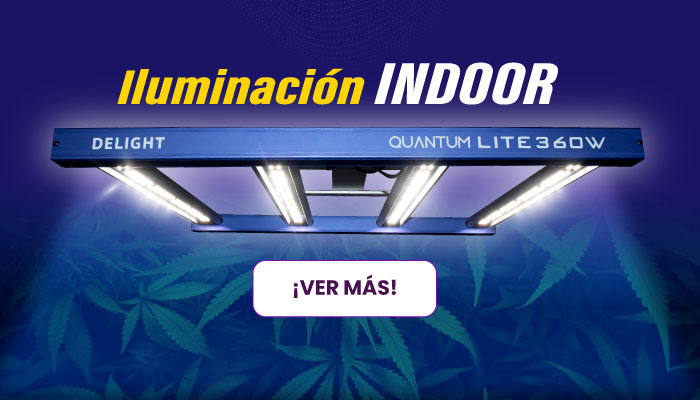 ILUMINACION INDOOR