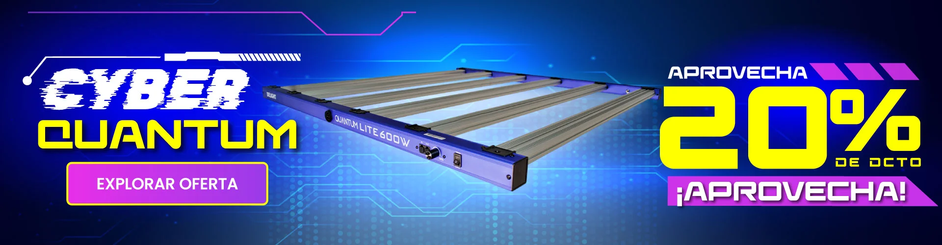 Cyber quantum