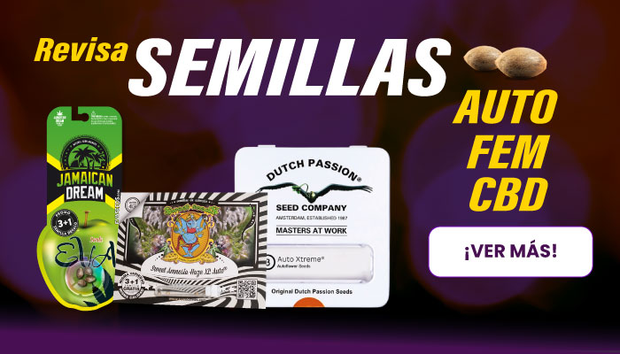 SEMILLAS