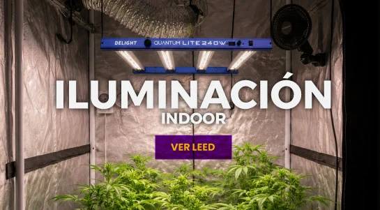 ILUMINACION INDOOR
