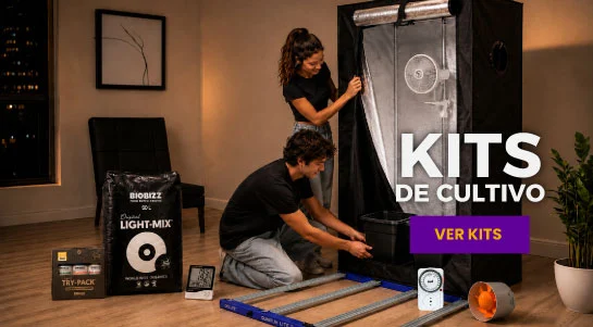 KITS INDOOR