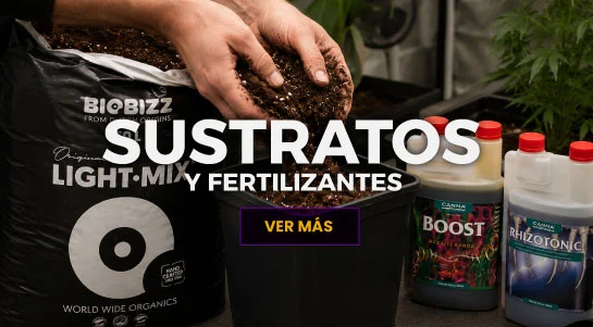 SUSTRATOS