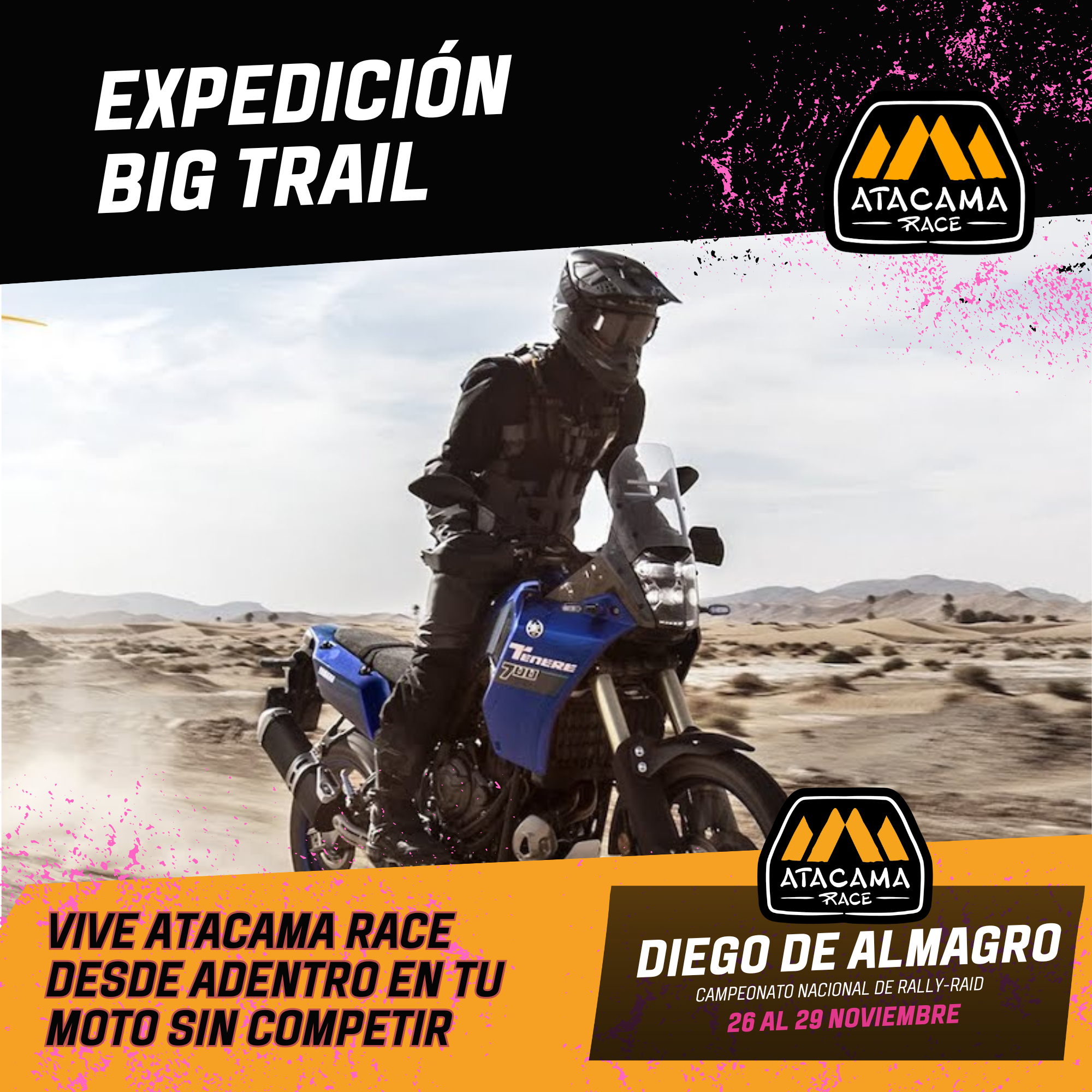 EXPERIENCIA GUIADA