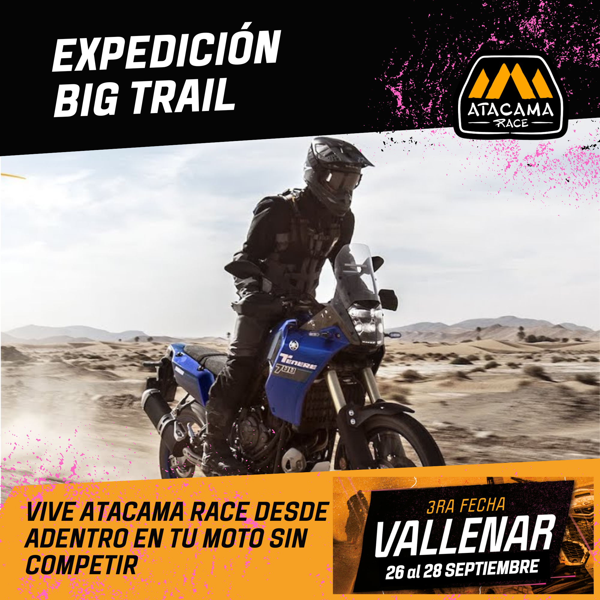 EXPERIENCIA GUIADA