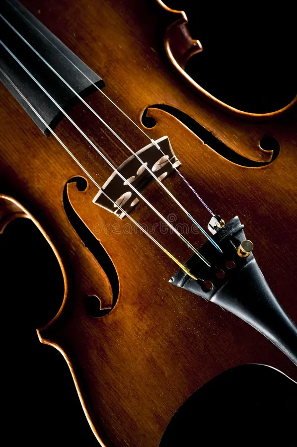 VIOLINES