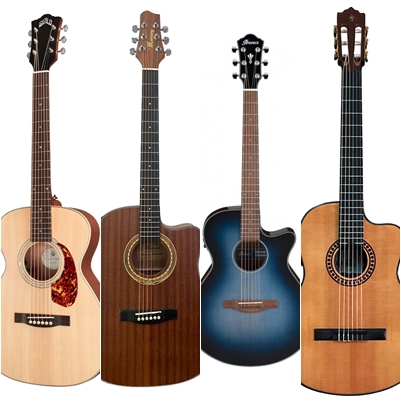 ELECTRO ACUSTICAS
